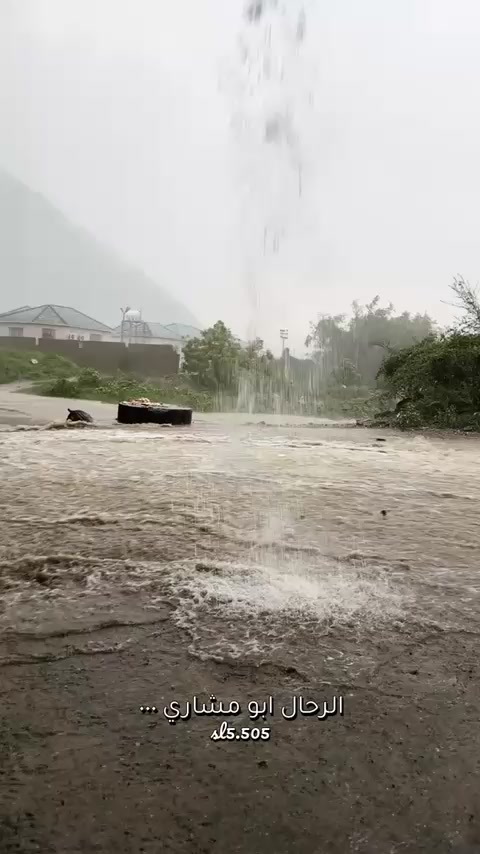 @آبووسآم برق آلَساحل⚡️⛈️