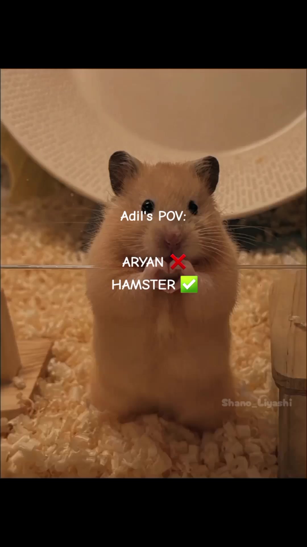 @Shano_Liyashi