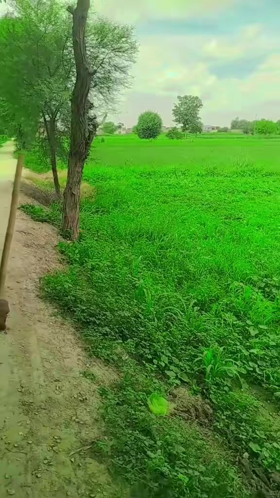 @main arshad kharl
