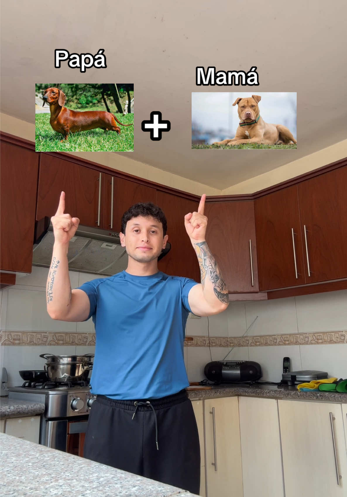 @Jorge Andr&eacute;s