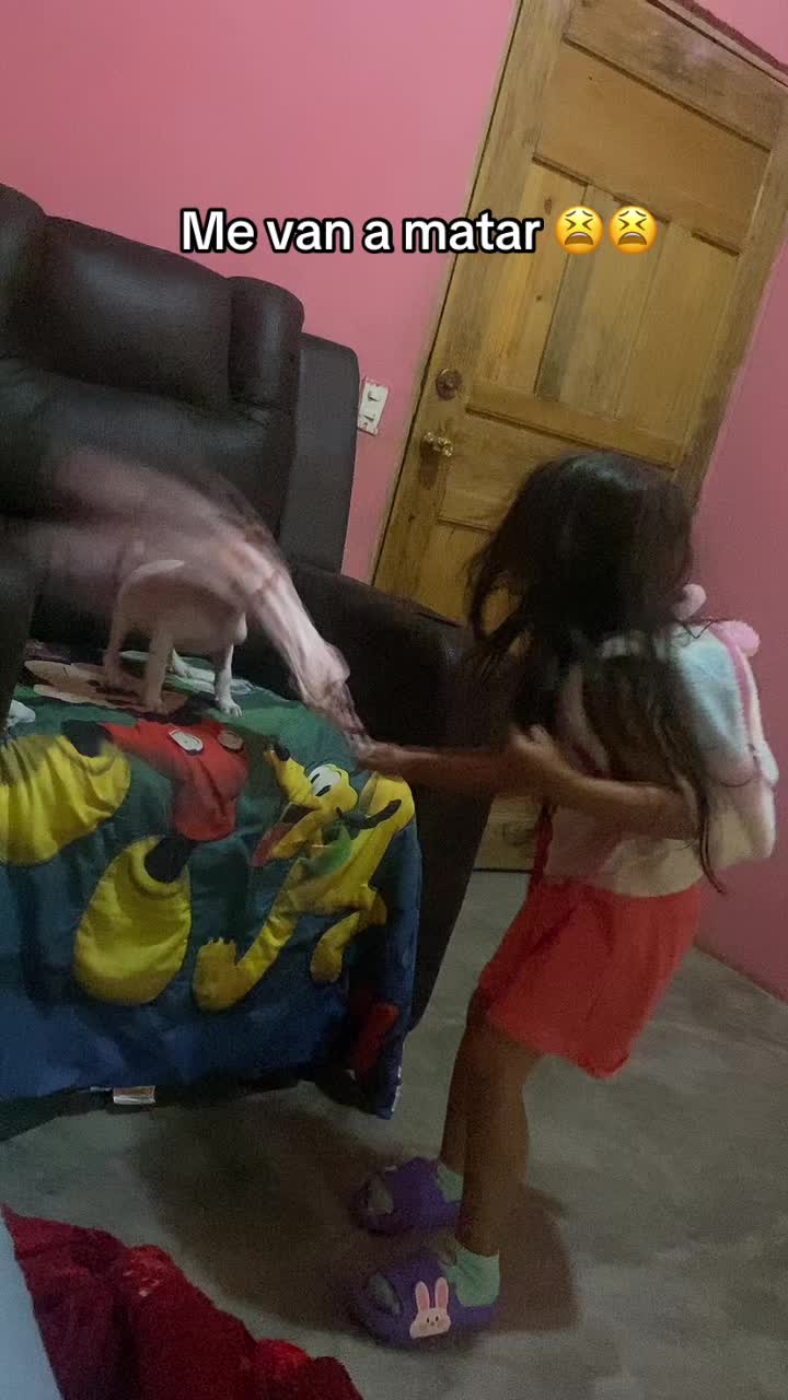 @NoheliA Mejía 🌵🎈