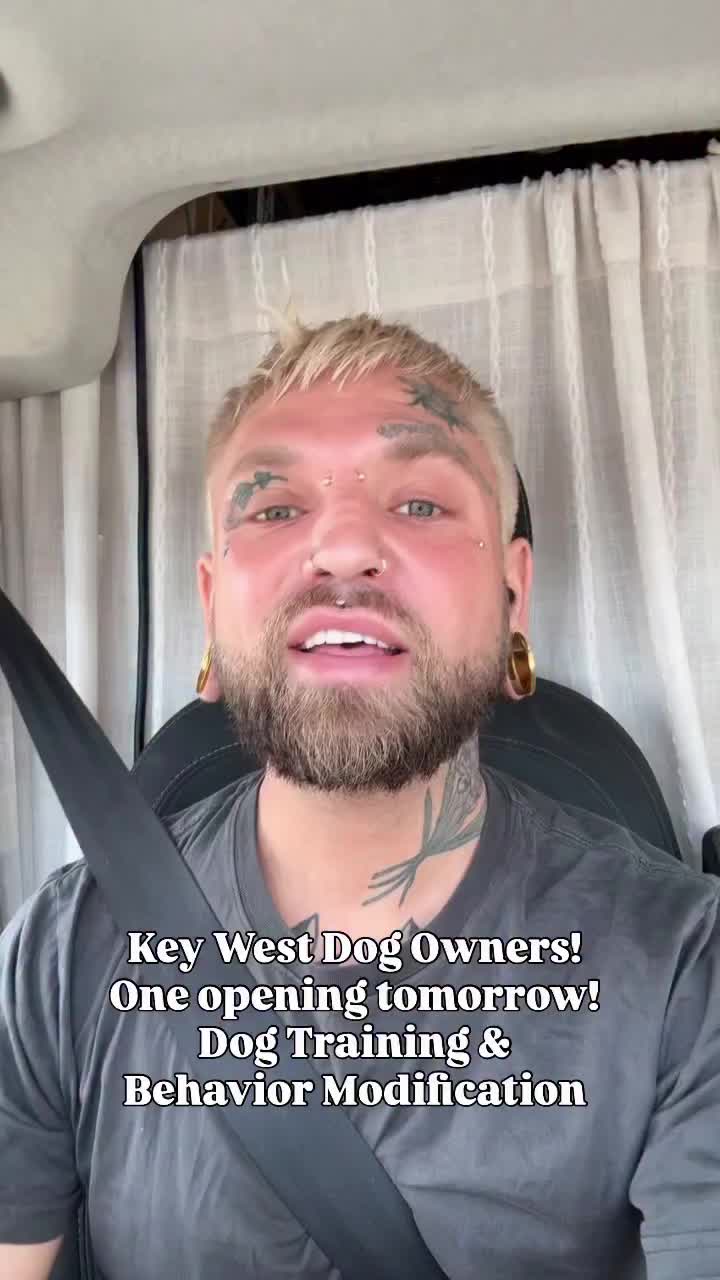 @balancedcanineacademy