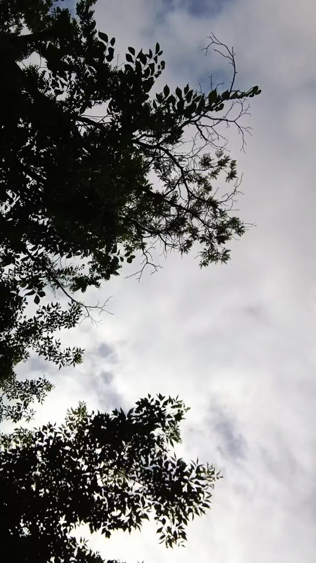@kingdelontae