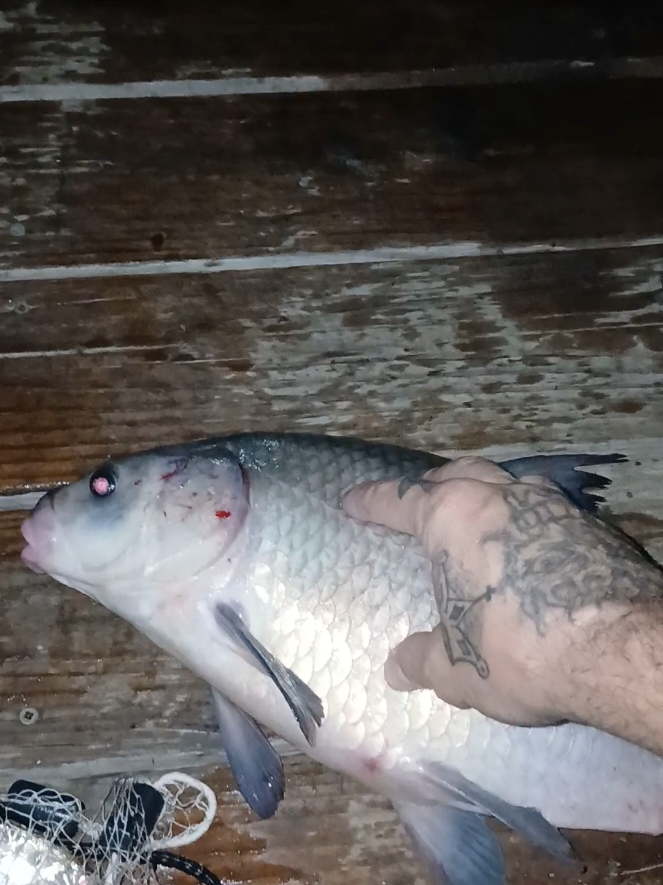 @Dirte's Tackle Shack