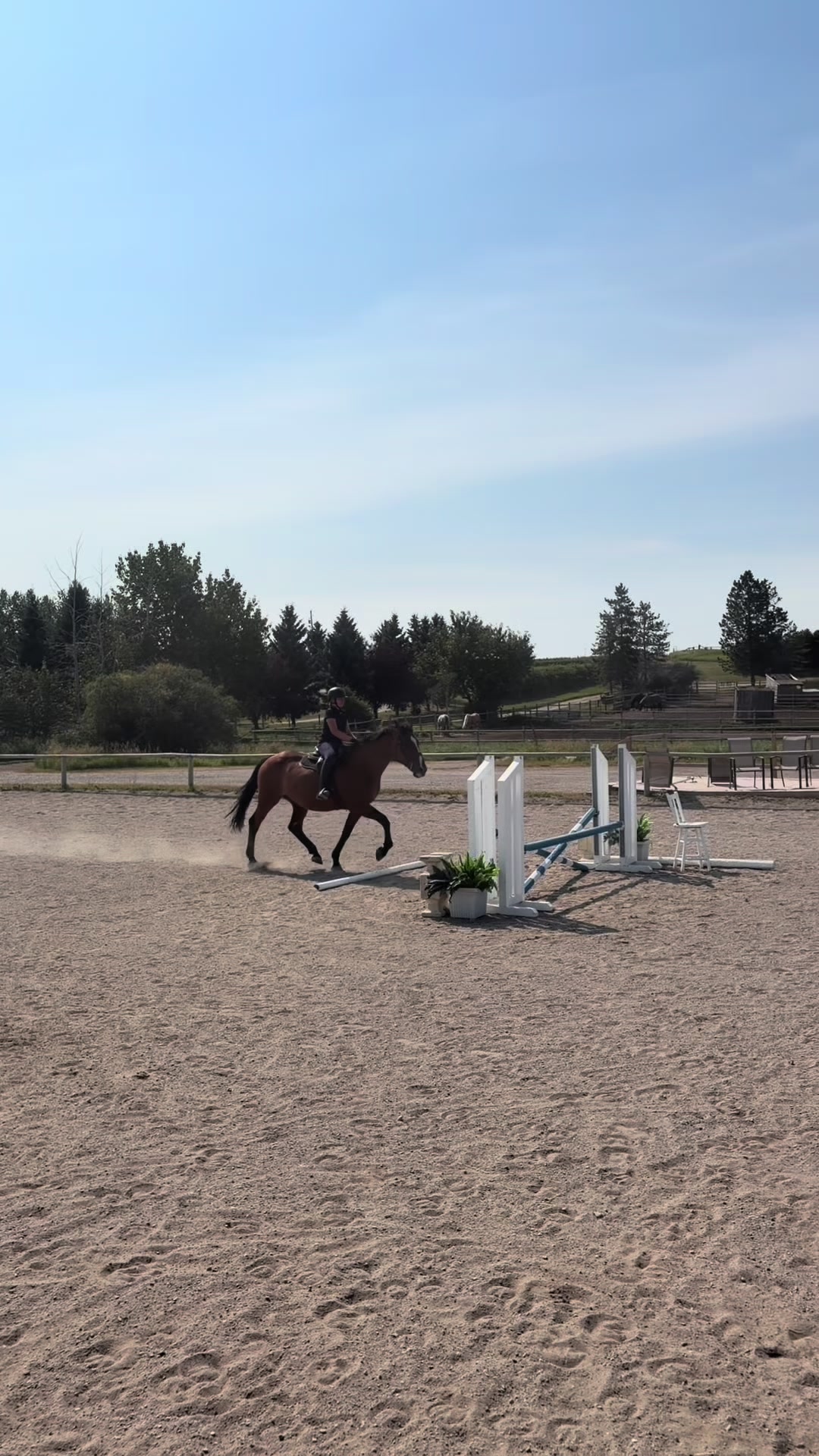@Kaya_Equine _Molly