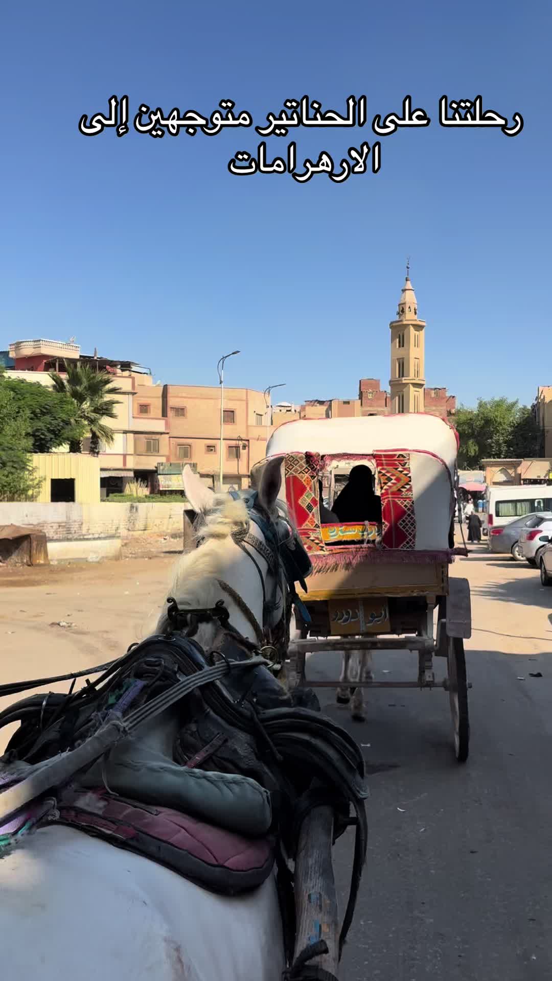 @مؤسسةرايةالكفيل لتنظيم الرحلات