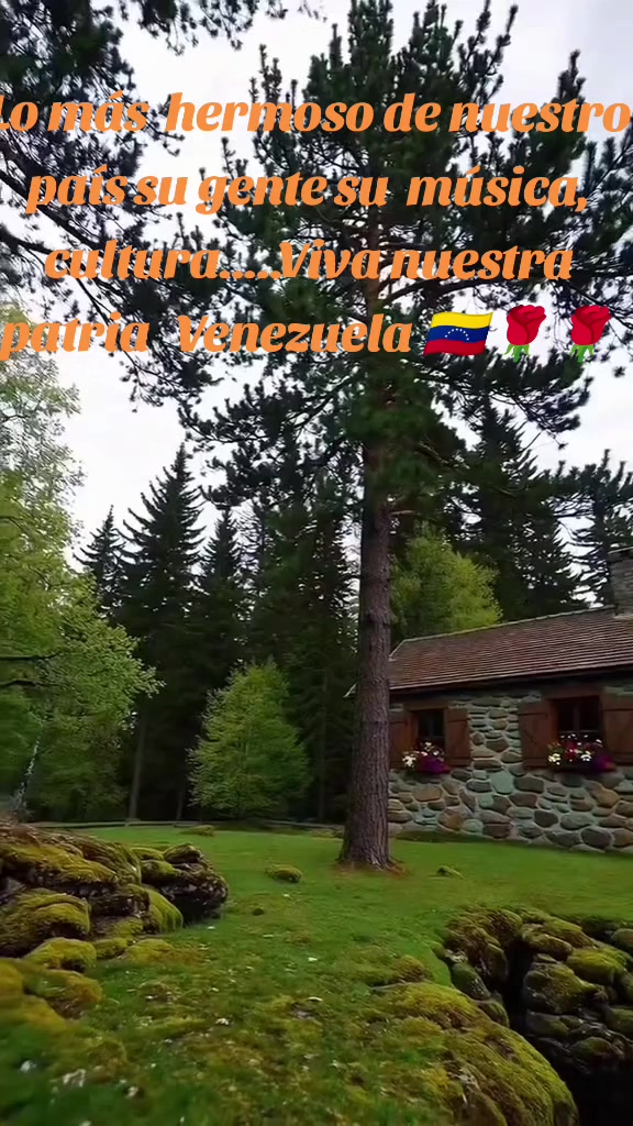 @Rosa 🇻🇪💥✨💪0202✨💥🇻🇪