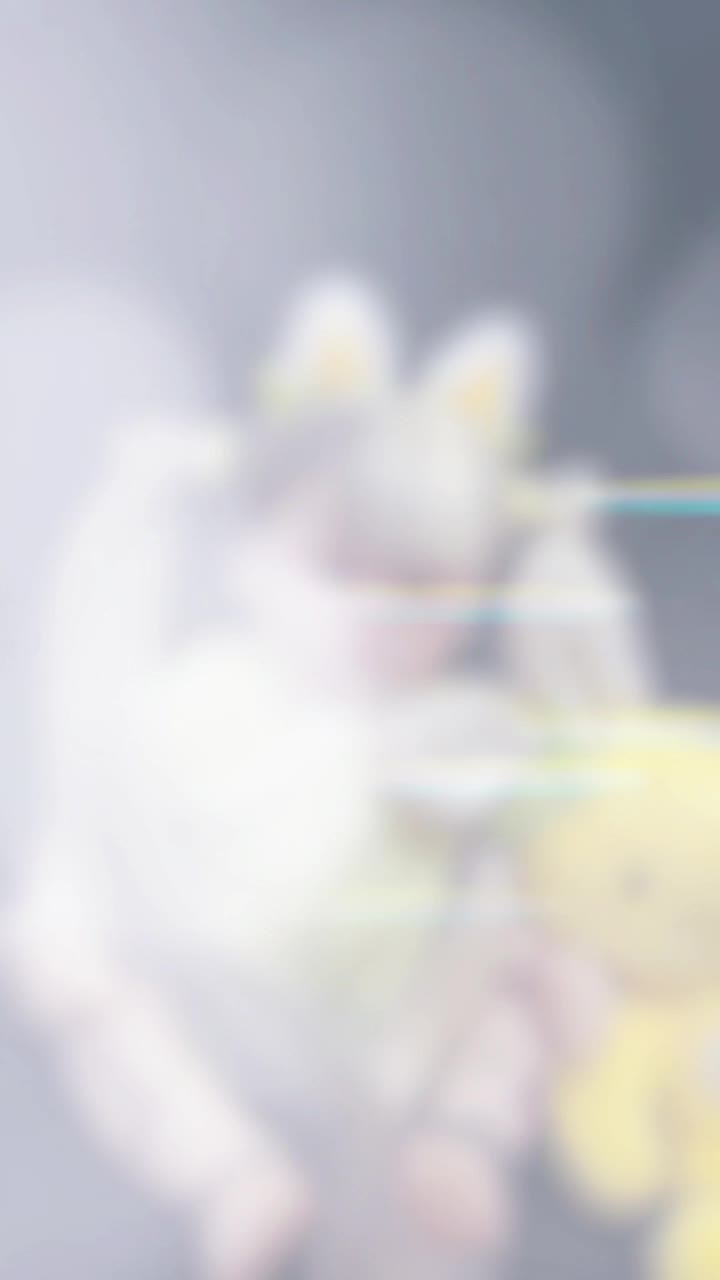 @CIPRUT ๐