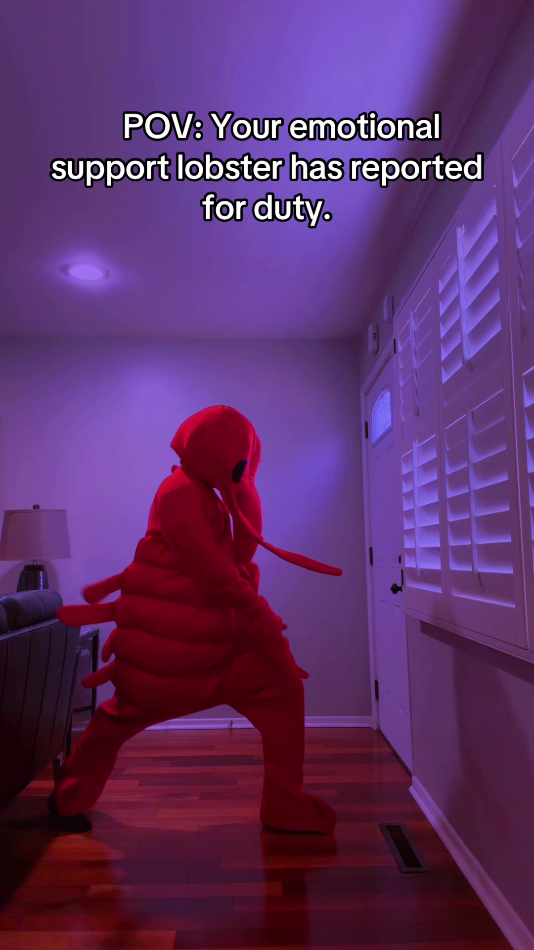@Jorge Langostino
