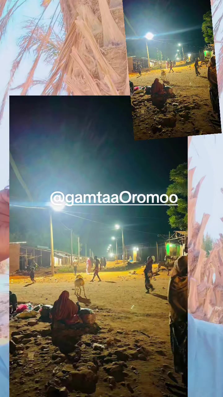 @Caalaa ❤️🩹daroo labuu💫💦