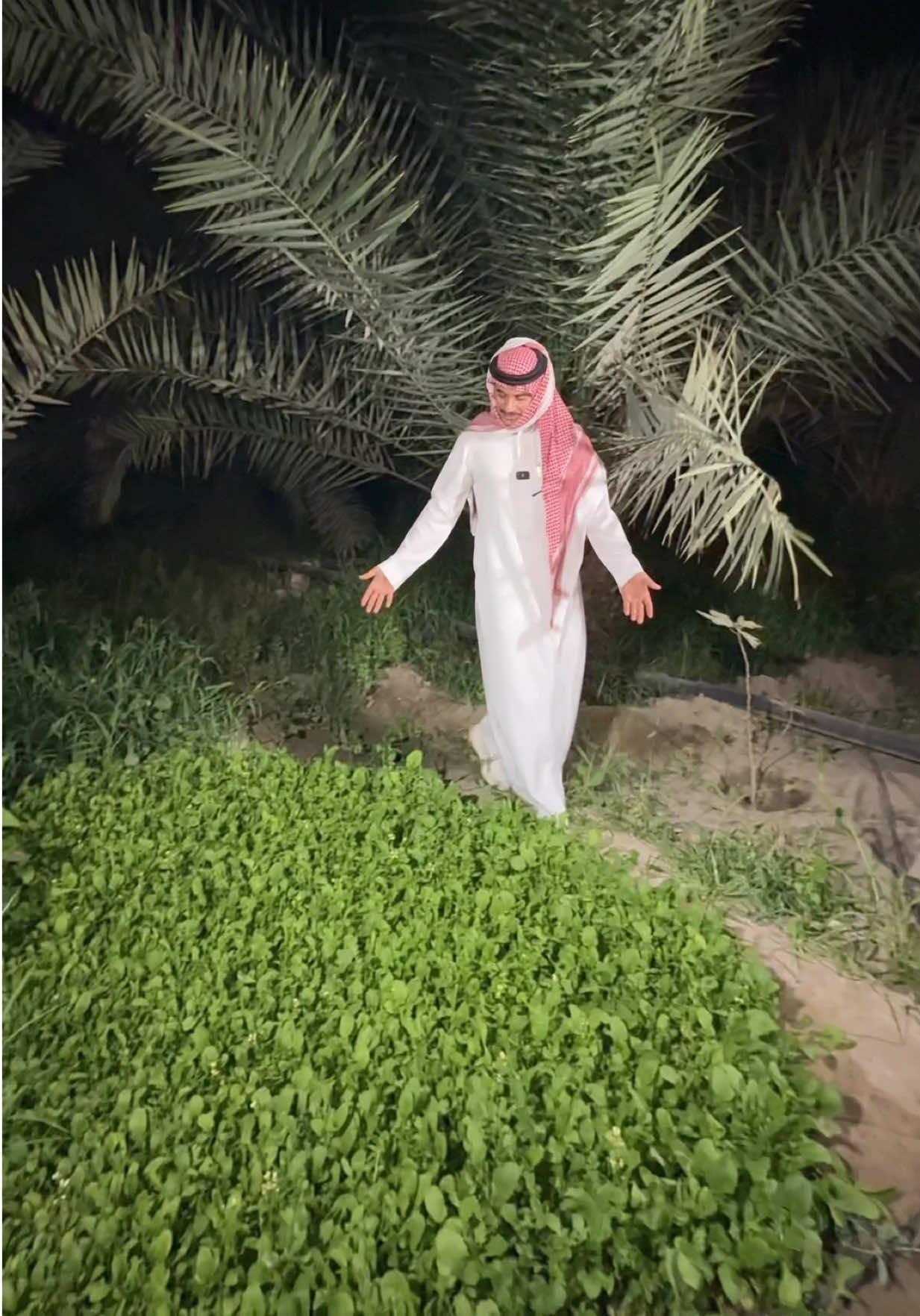 @دستور