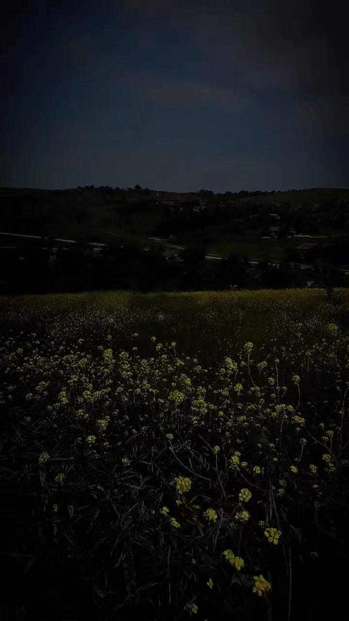 @GANGSTER 95