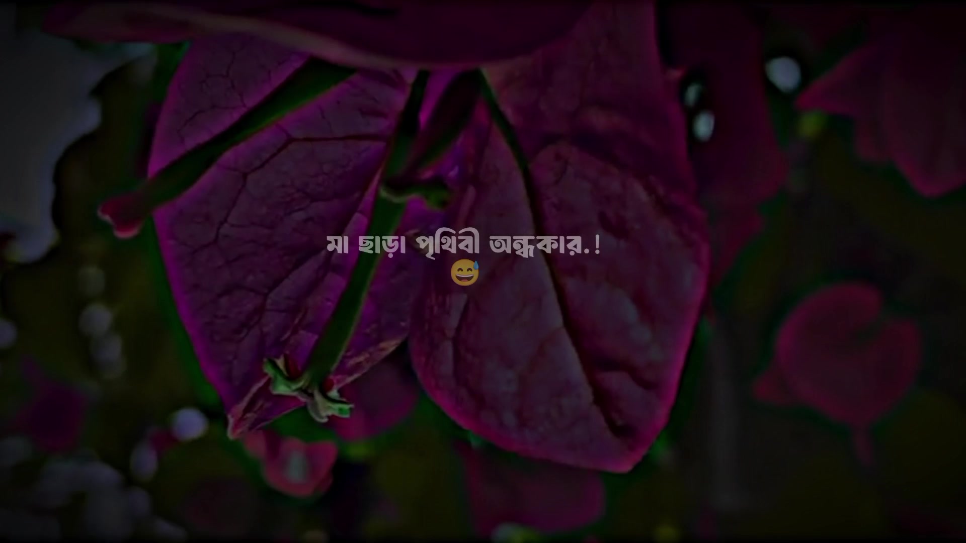 @Ansarul islam 📓🖋️