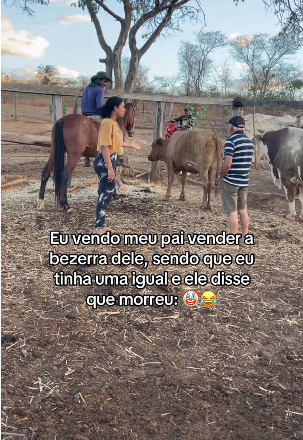 @monicadejatoba