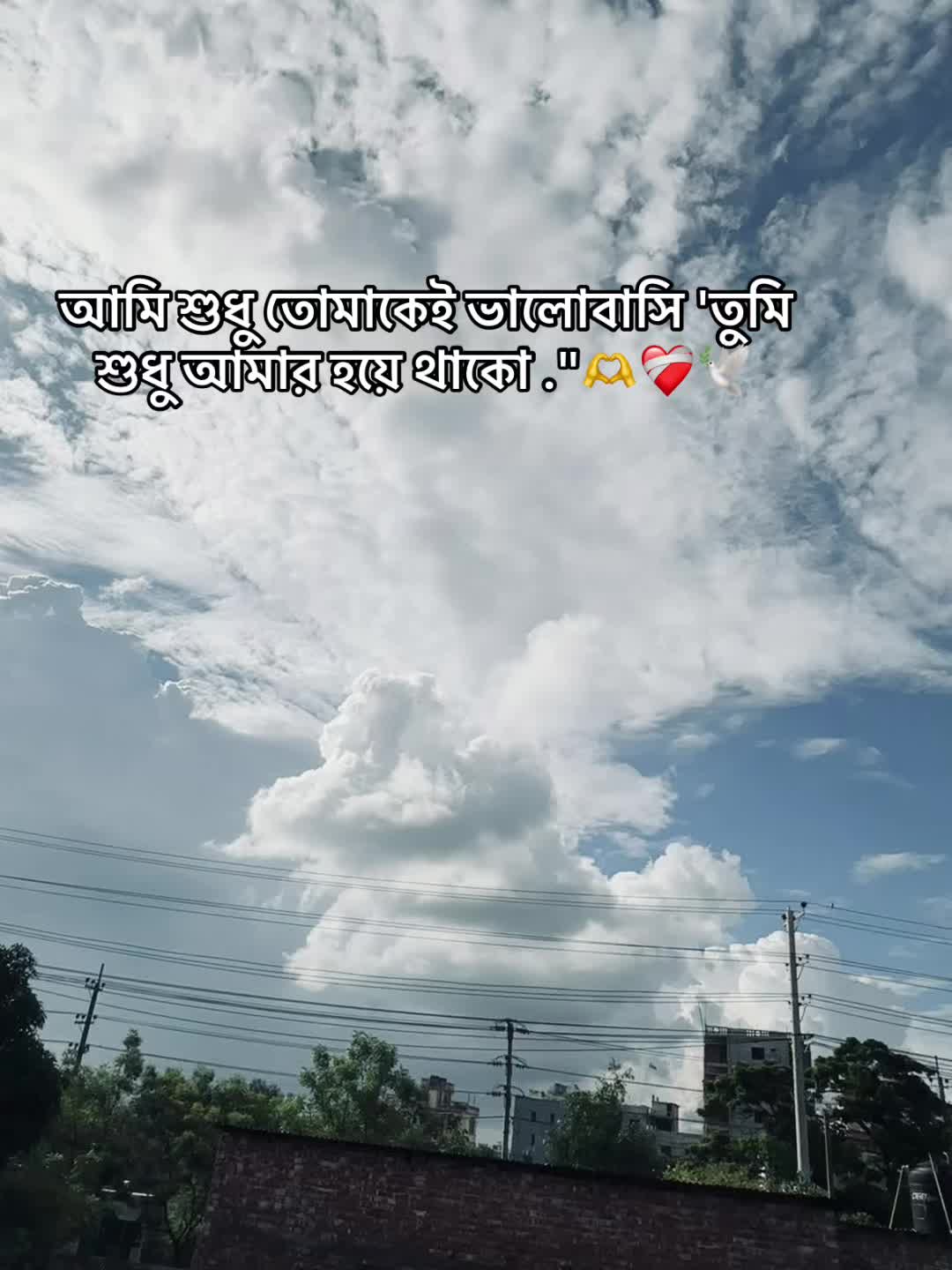 @Js Junaid🕊️