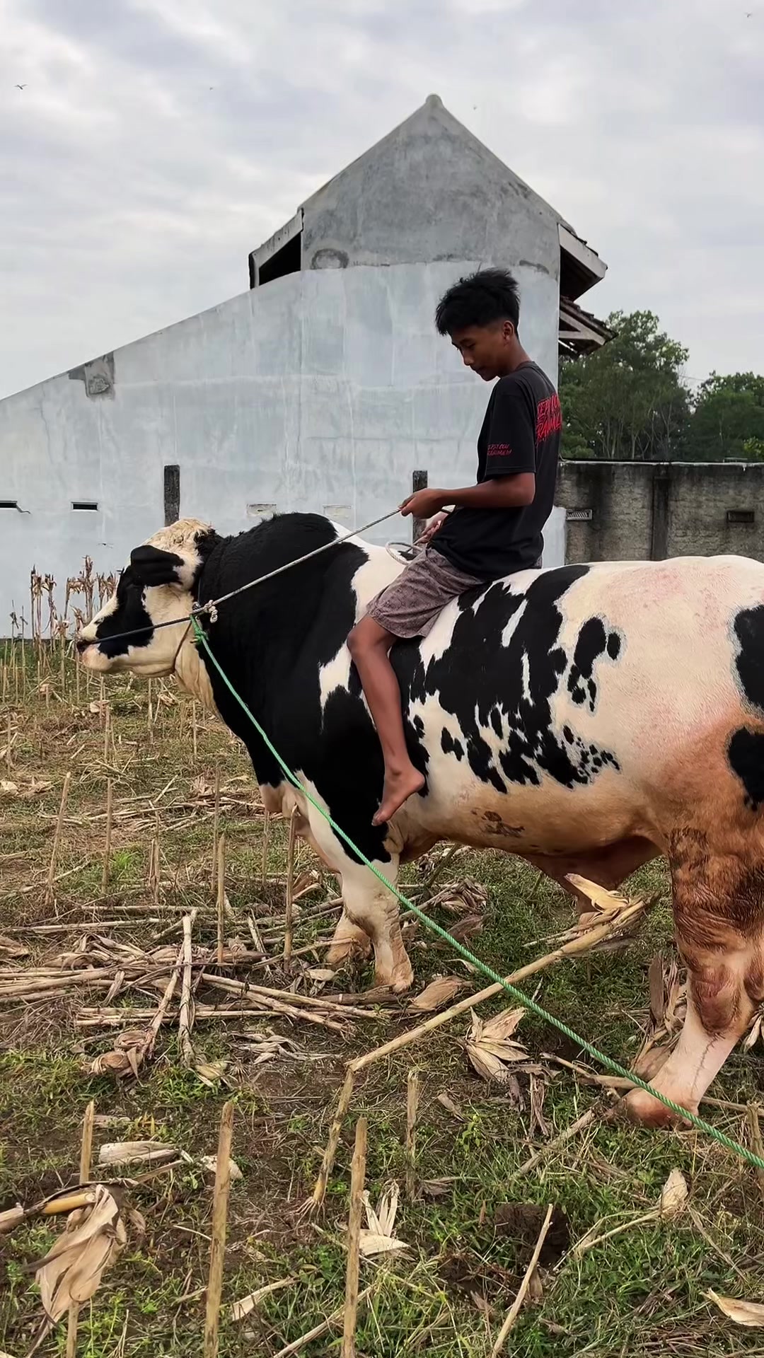 @Wisnu Farm Lampung