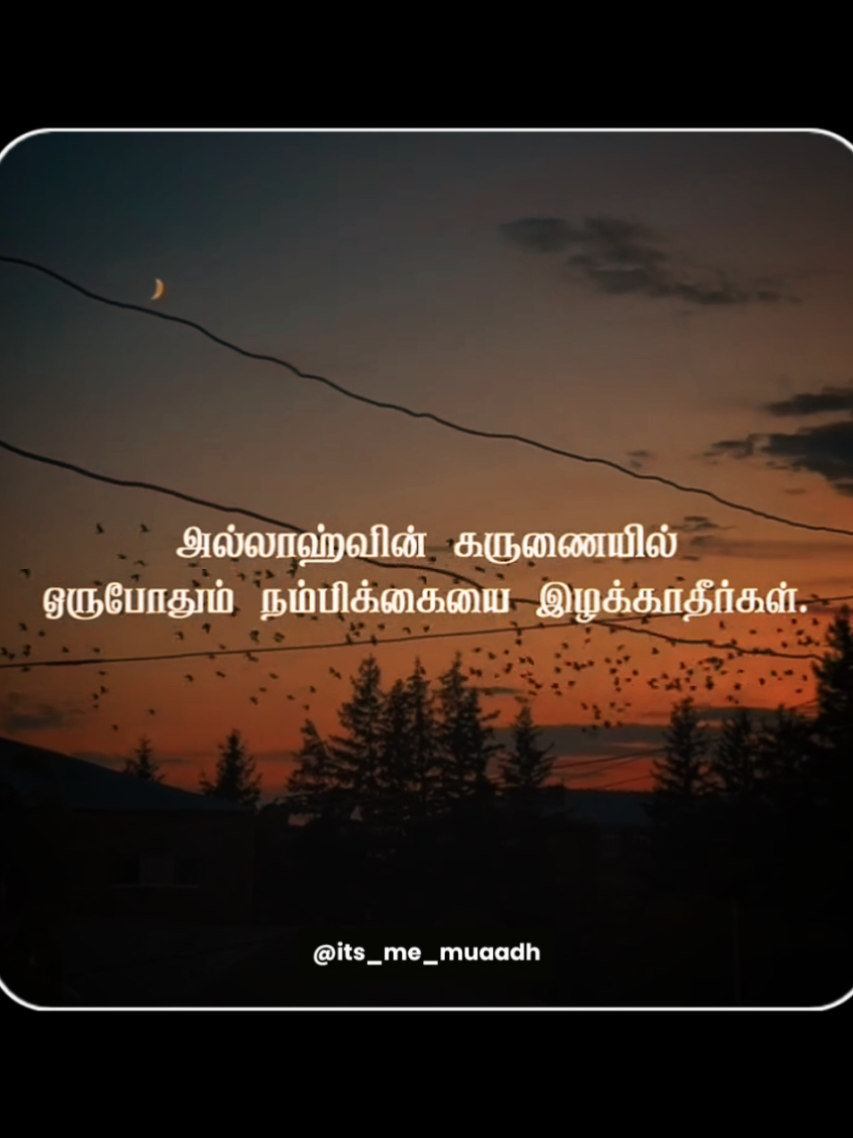@𝗜𝘁'𝘀 𝗠𝗲 𝗠𝗨𝗔𝗔𝗗𝗛