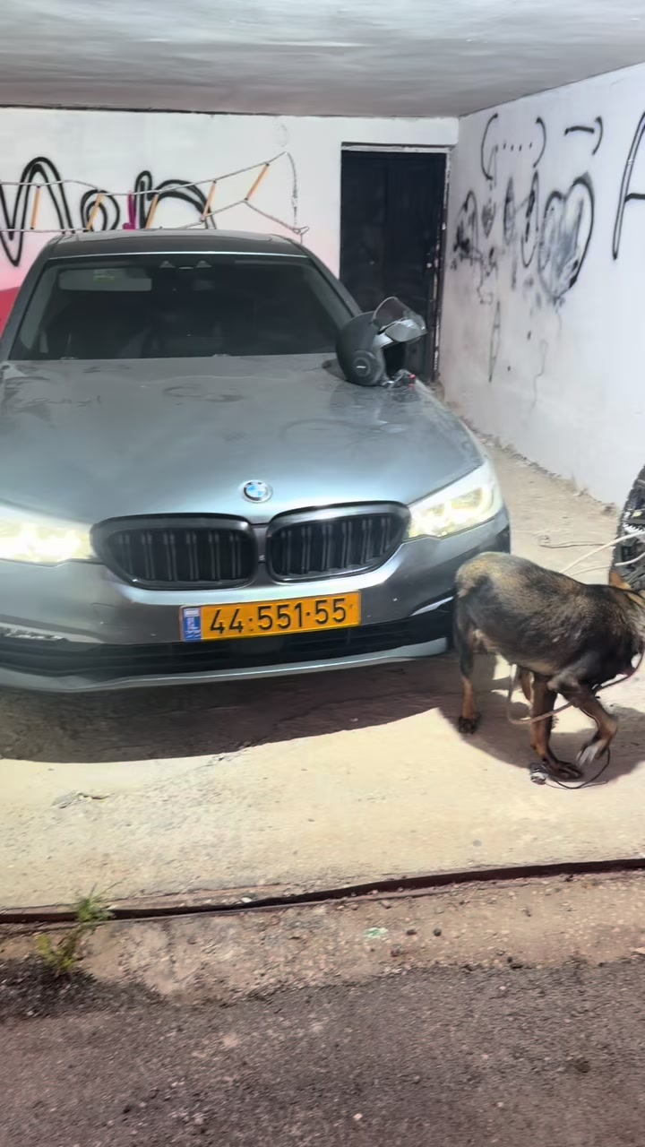 @איאד שואהנה