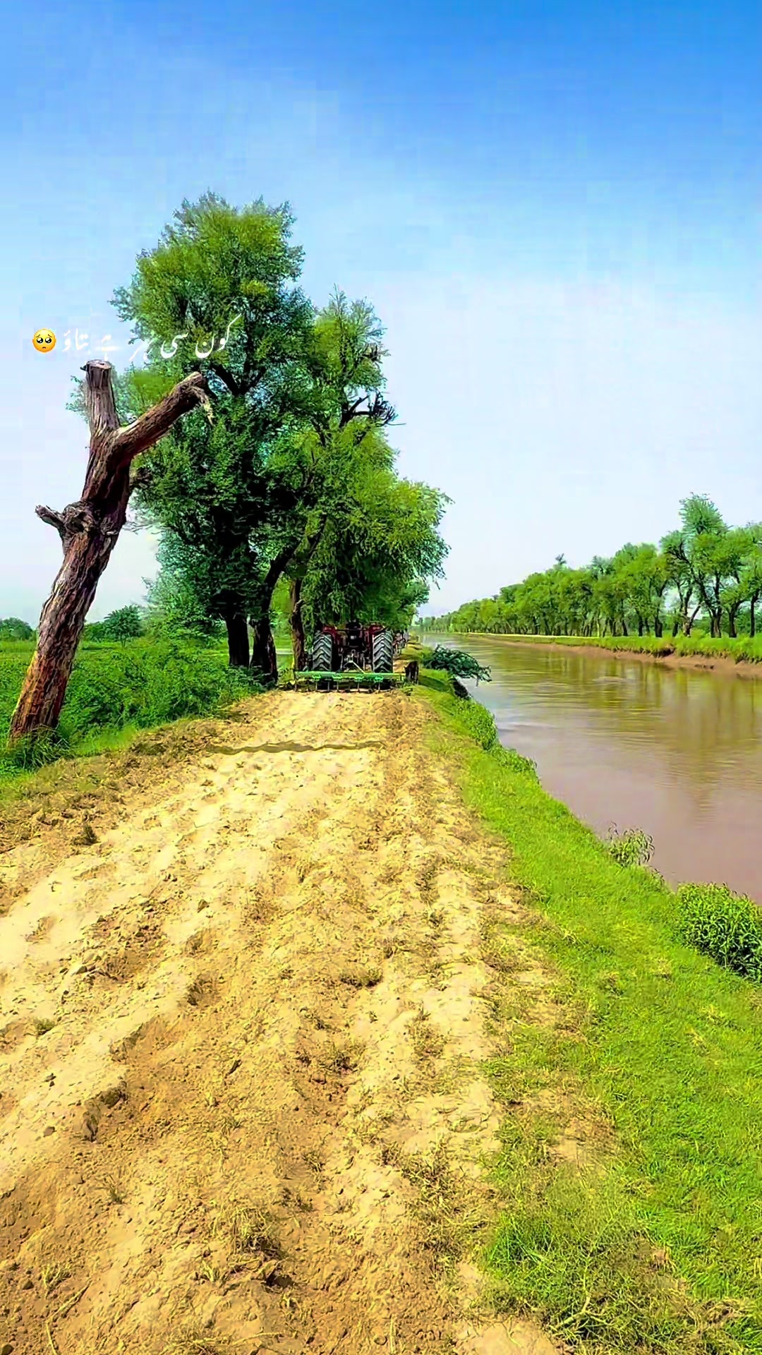@🌾میں۔ میرا۔ پنڈ🎋