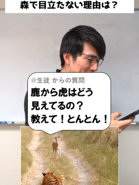 @あきとんとん🤔