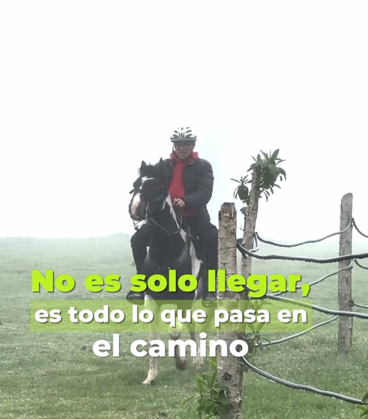 @Andrés Narváez