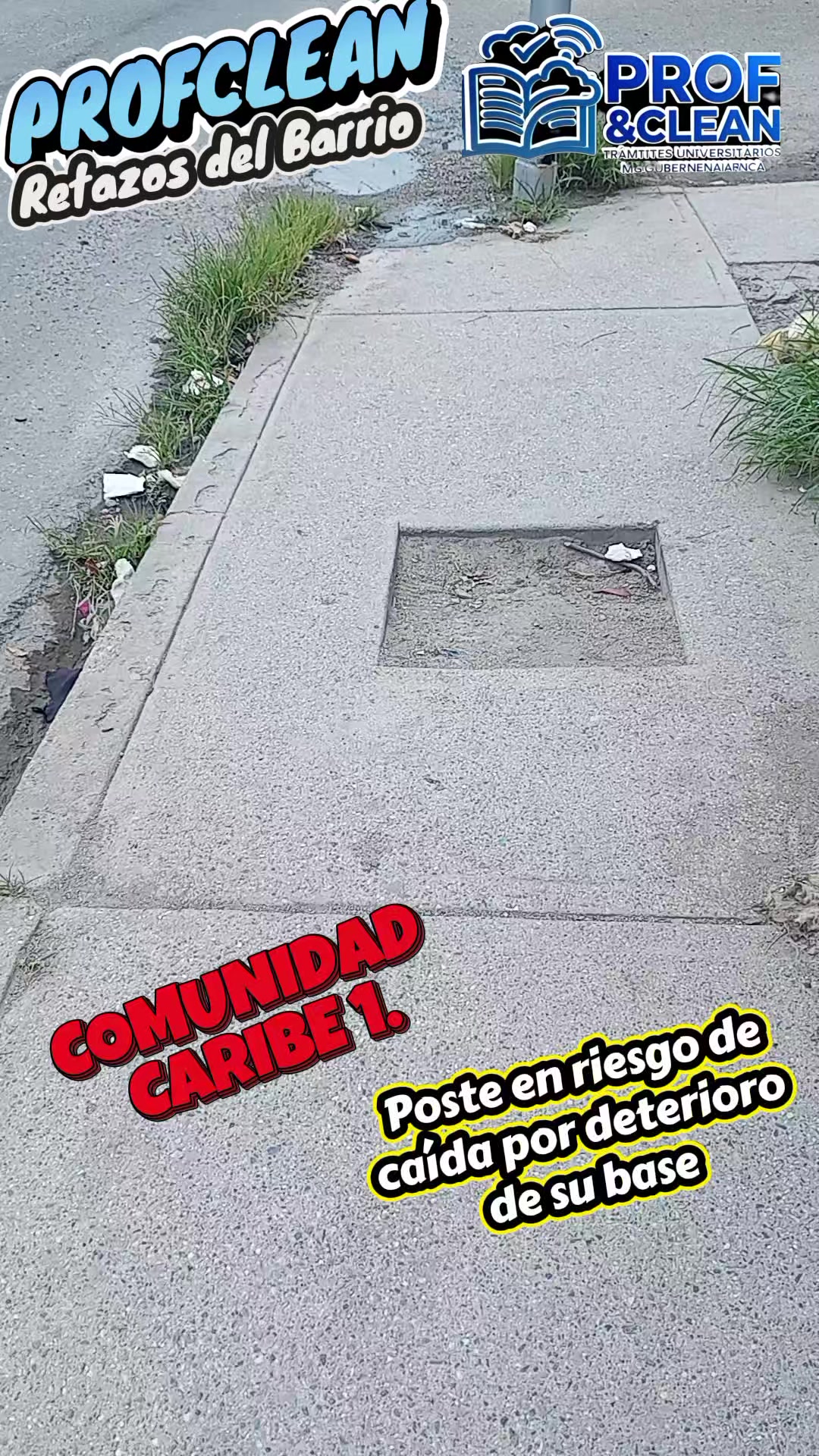 @Prof&Clean Armando Rodr&iacute;guez