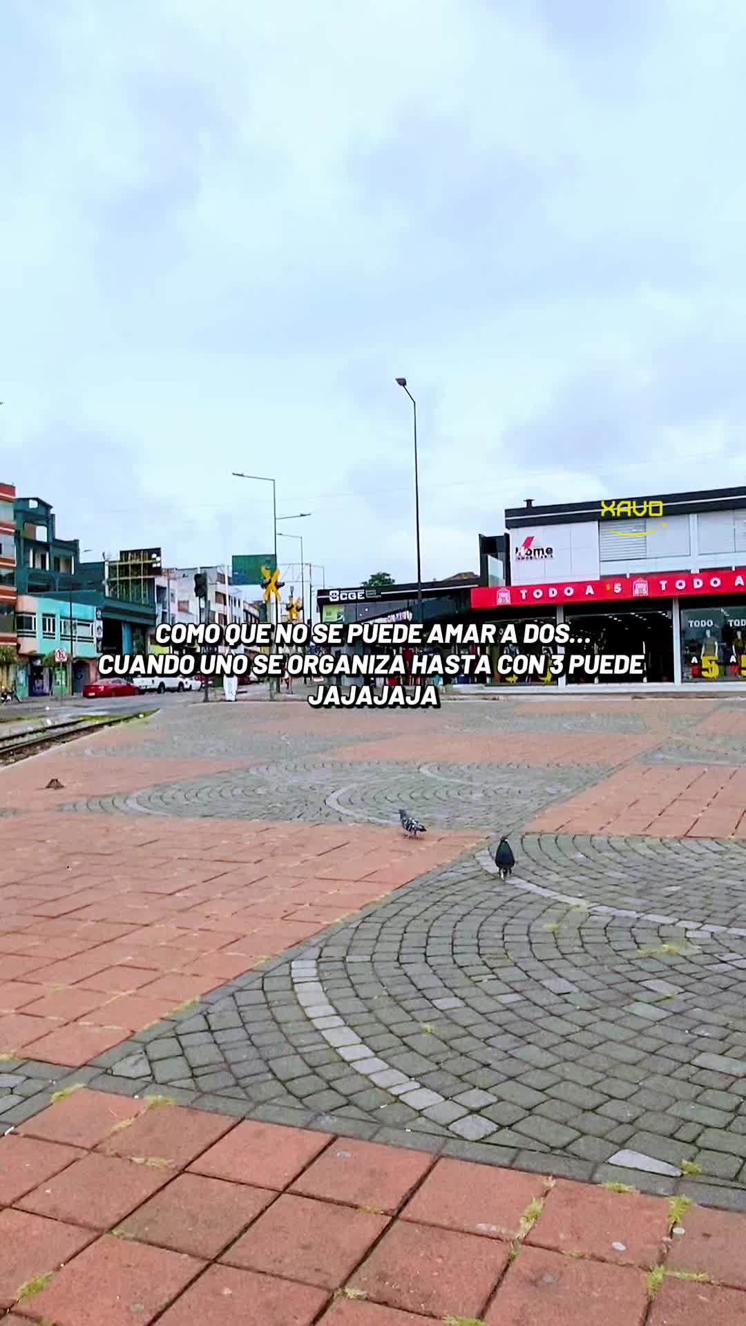 @乂卂ᐯㄖ🤙🏼