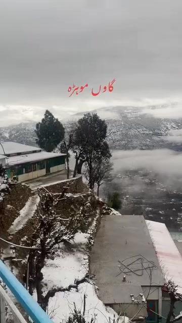@A.K Abbasi 🇵🇰