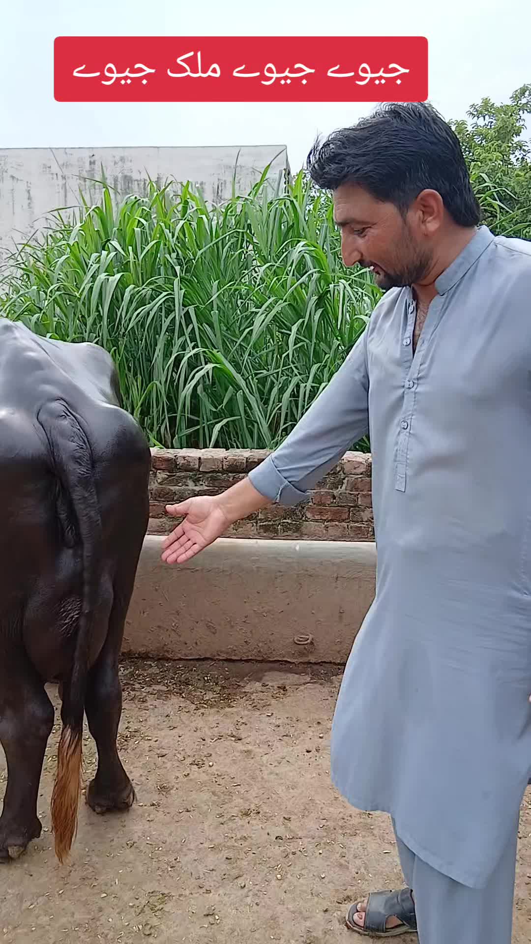 @Farming and Business Ideas