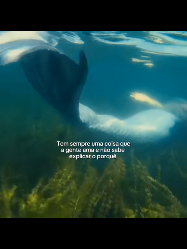 @Madu 🧜🏼&zwj;♀️
