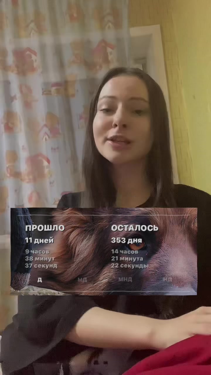 @poli_yecheistova