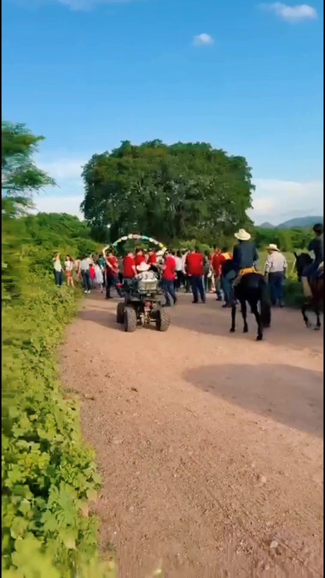 @Que bonito es lo 🐺 bonito🤠