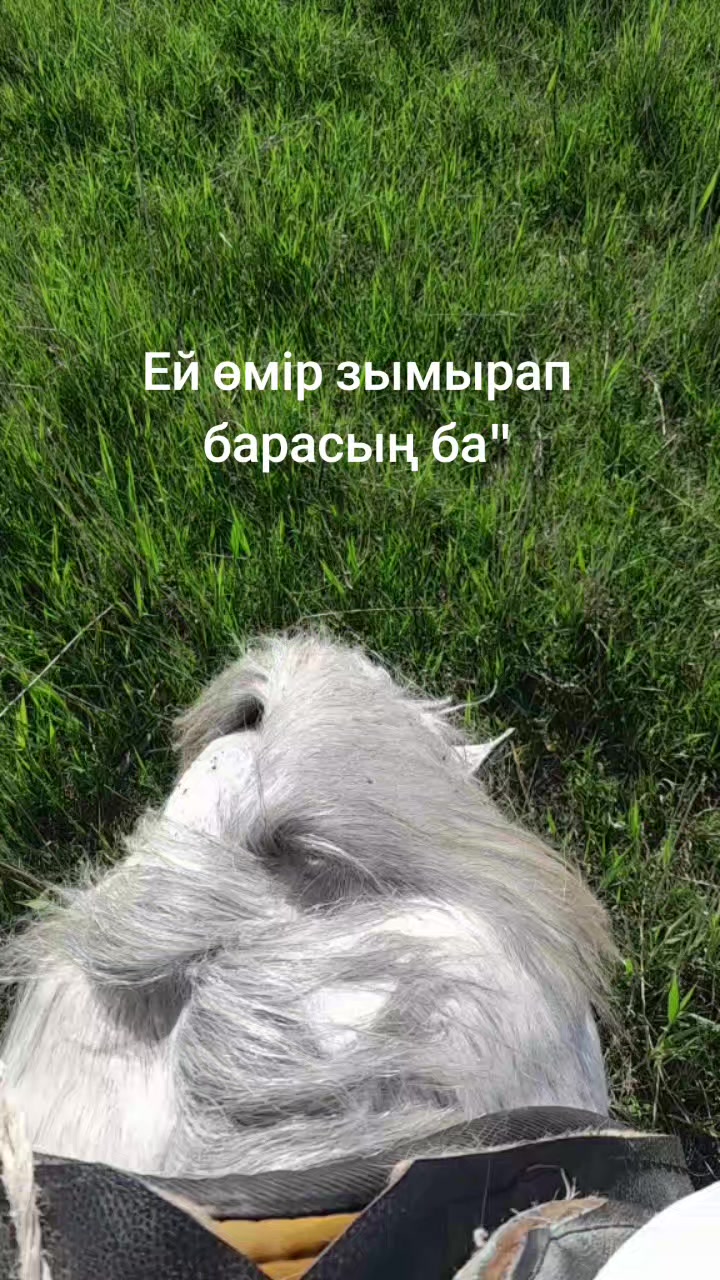 @Kadishovaa_zhanar