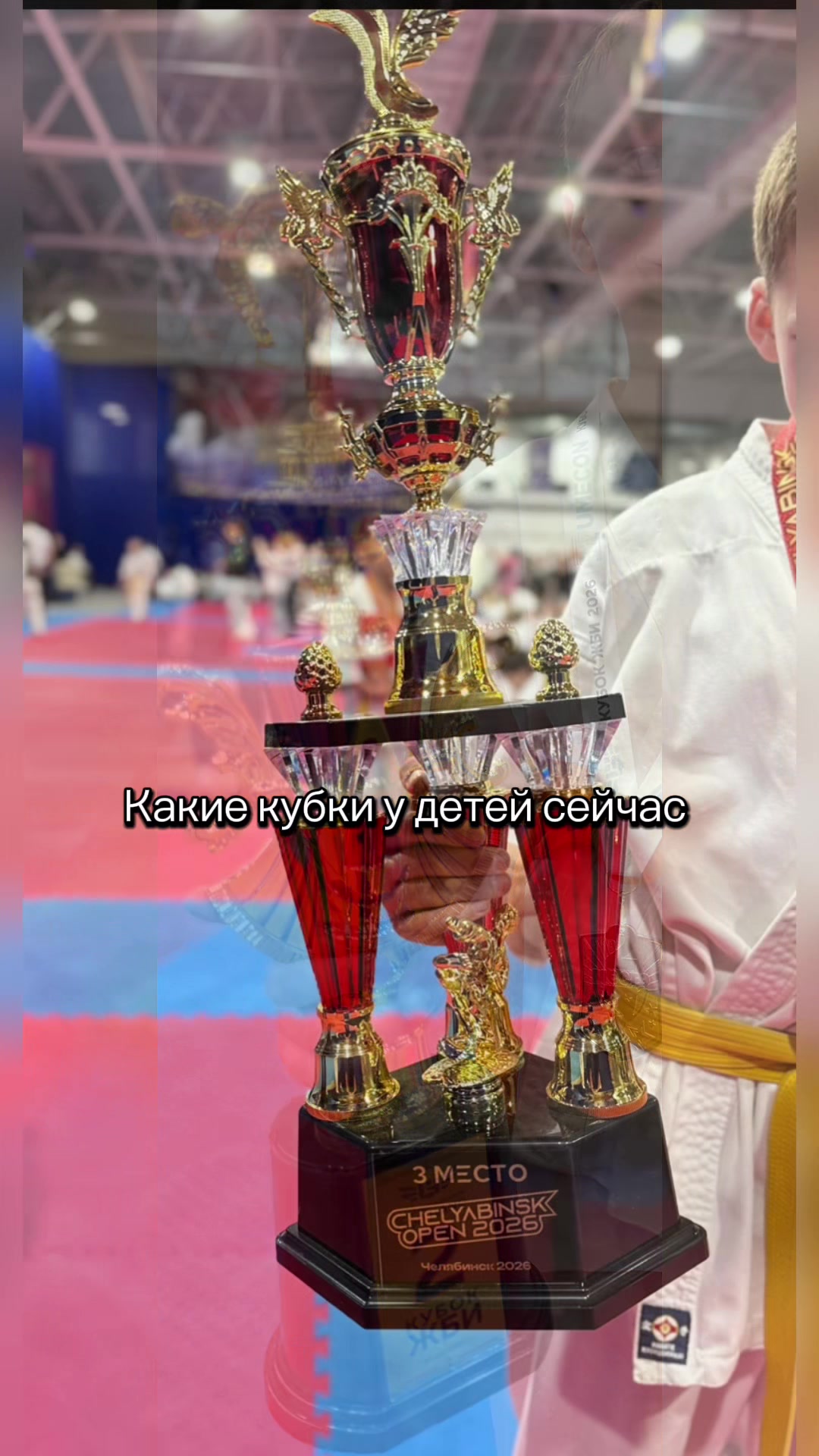 @Karate_Win