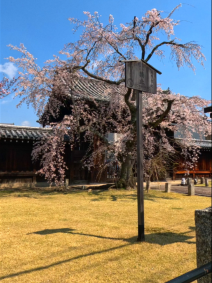 @美しい日本 感動の旅