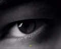 @Creator's Cut