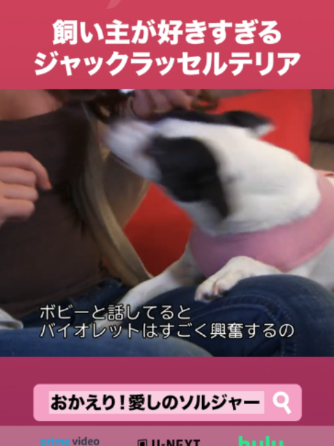 @Lifetime Japan(ライフタイムジャパン)