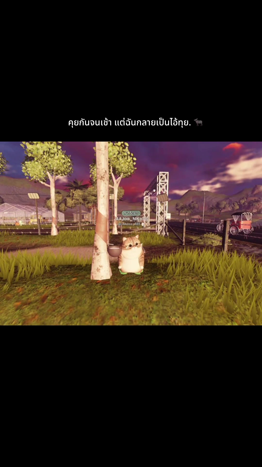 @แมวหัวเน่า No.1