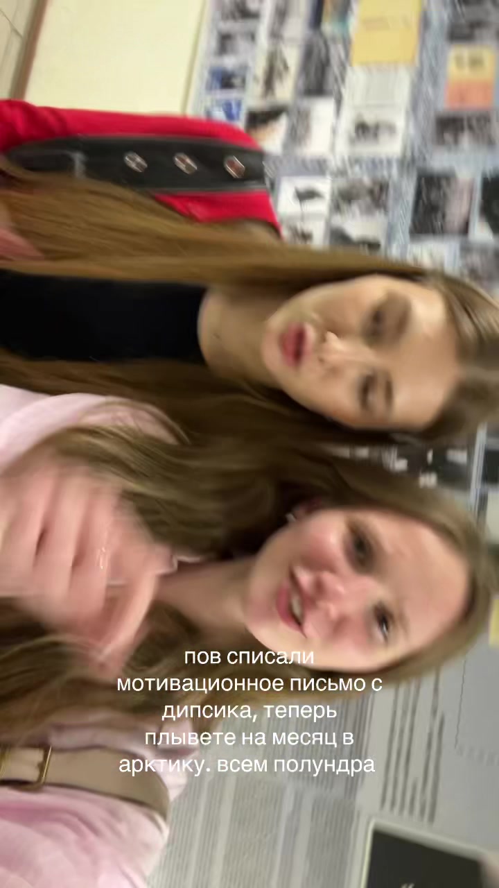 @dashulkins