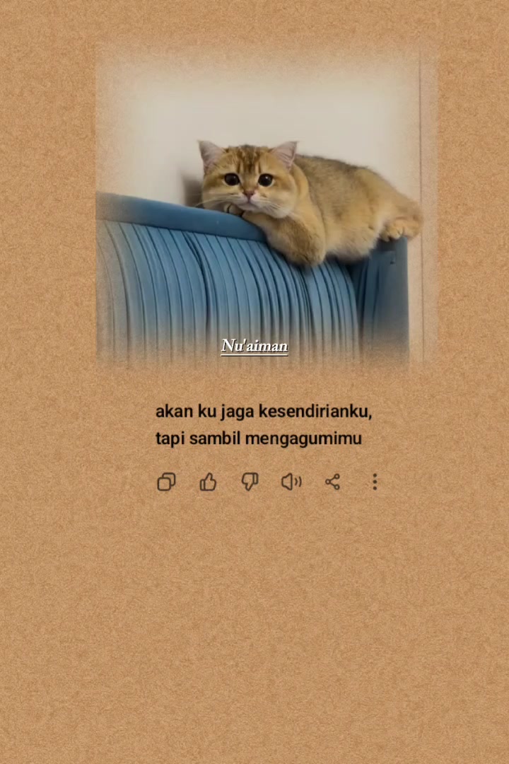 @Nu'Aiman