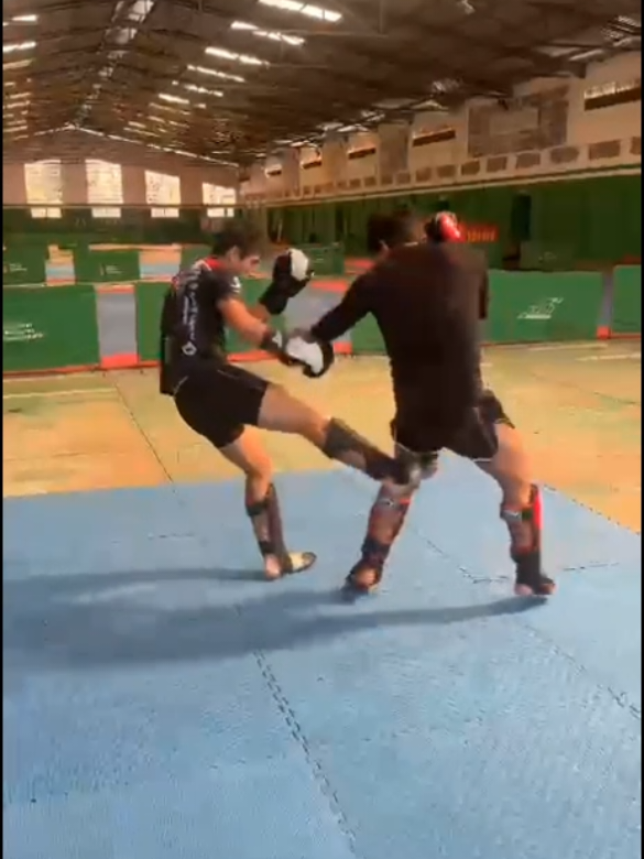 @Ardilla_K1🐿️🥊