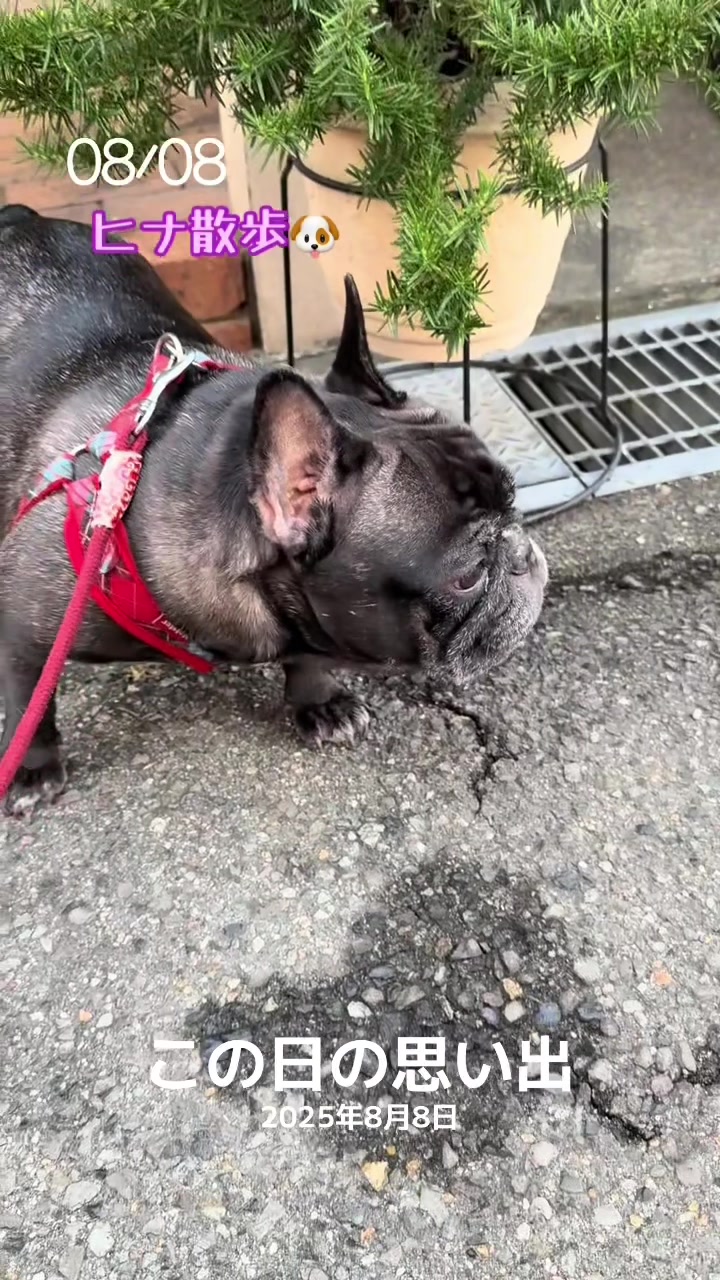 @遮那😎⚡️🐾