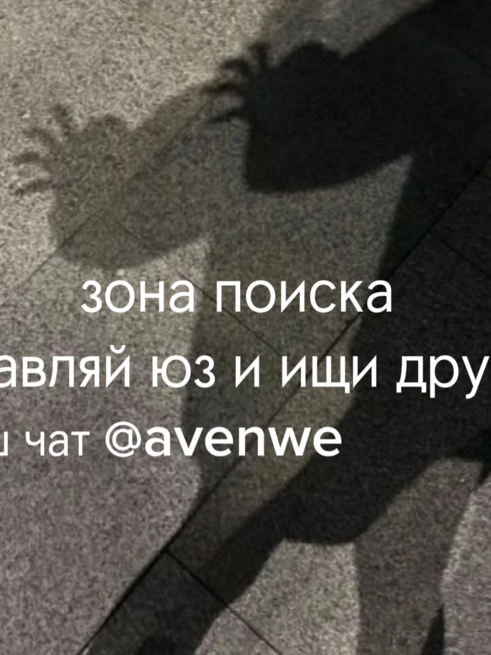 @avenew чат