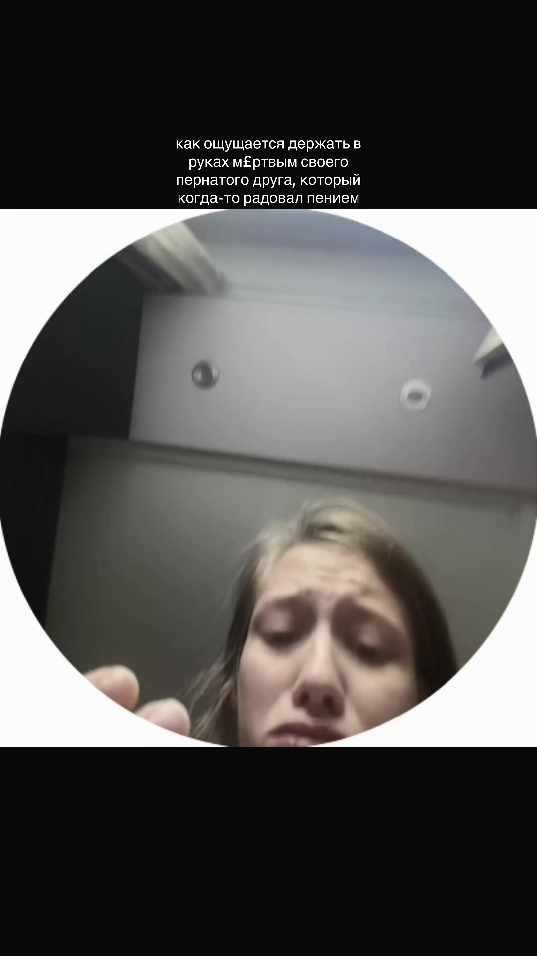 @Рина