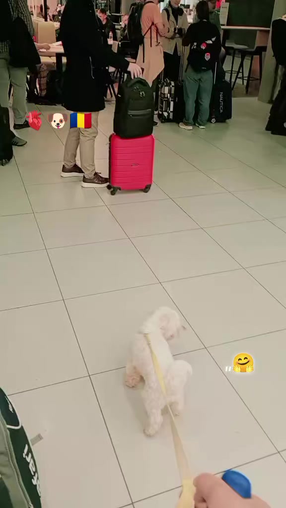 @Garry_0307