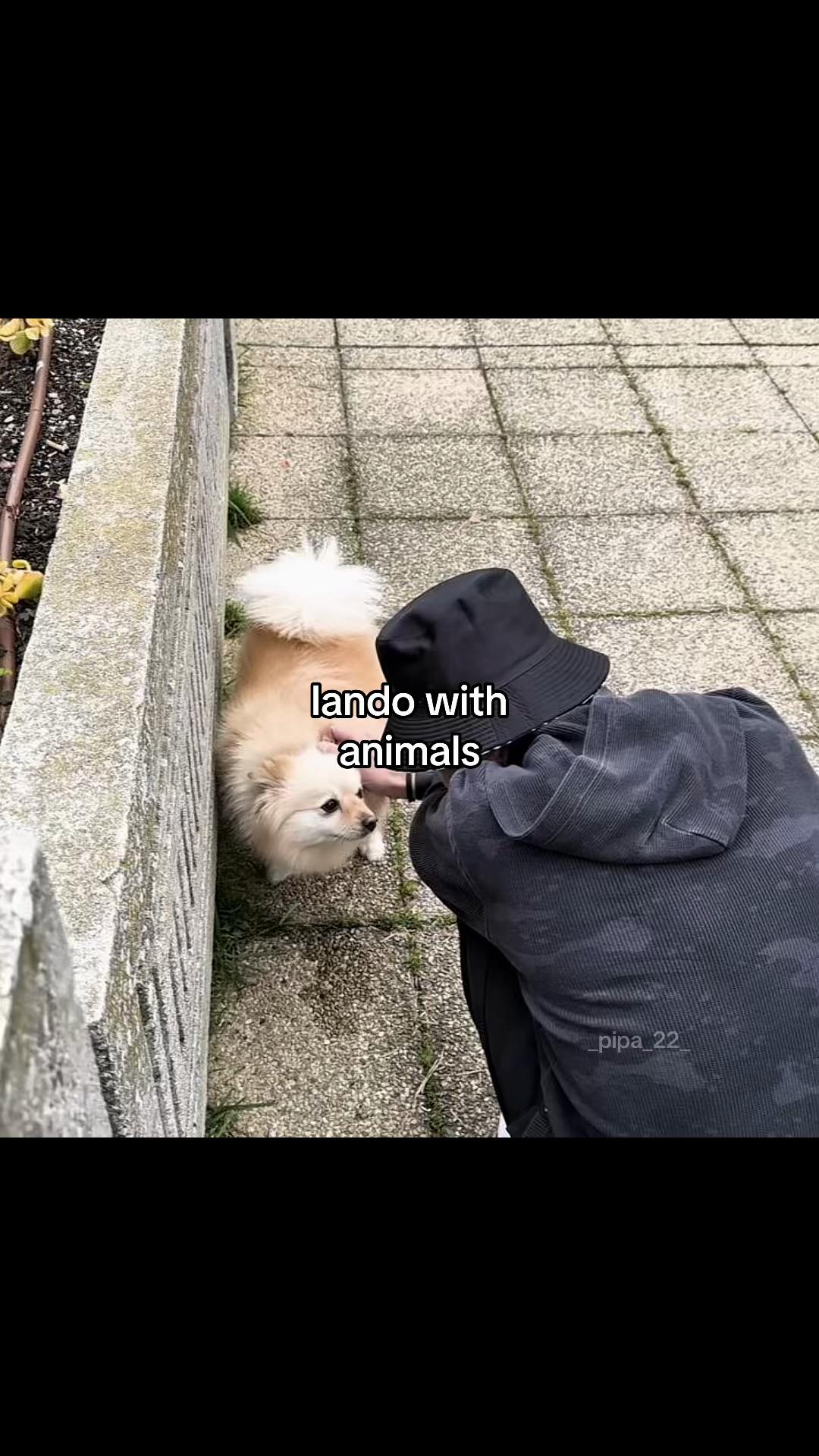 @пупупу⁴⁸&sup1;