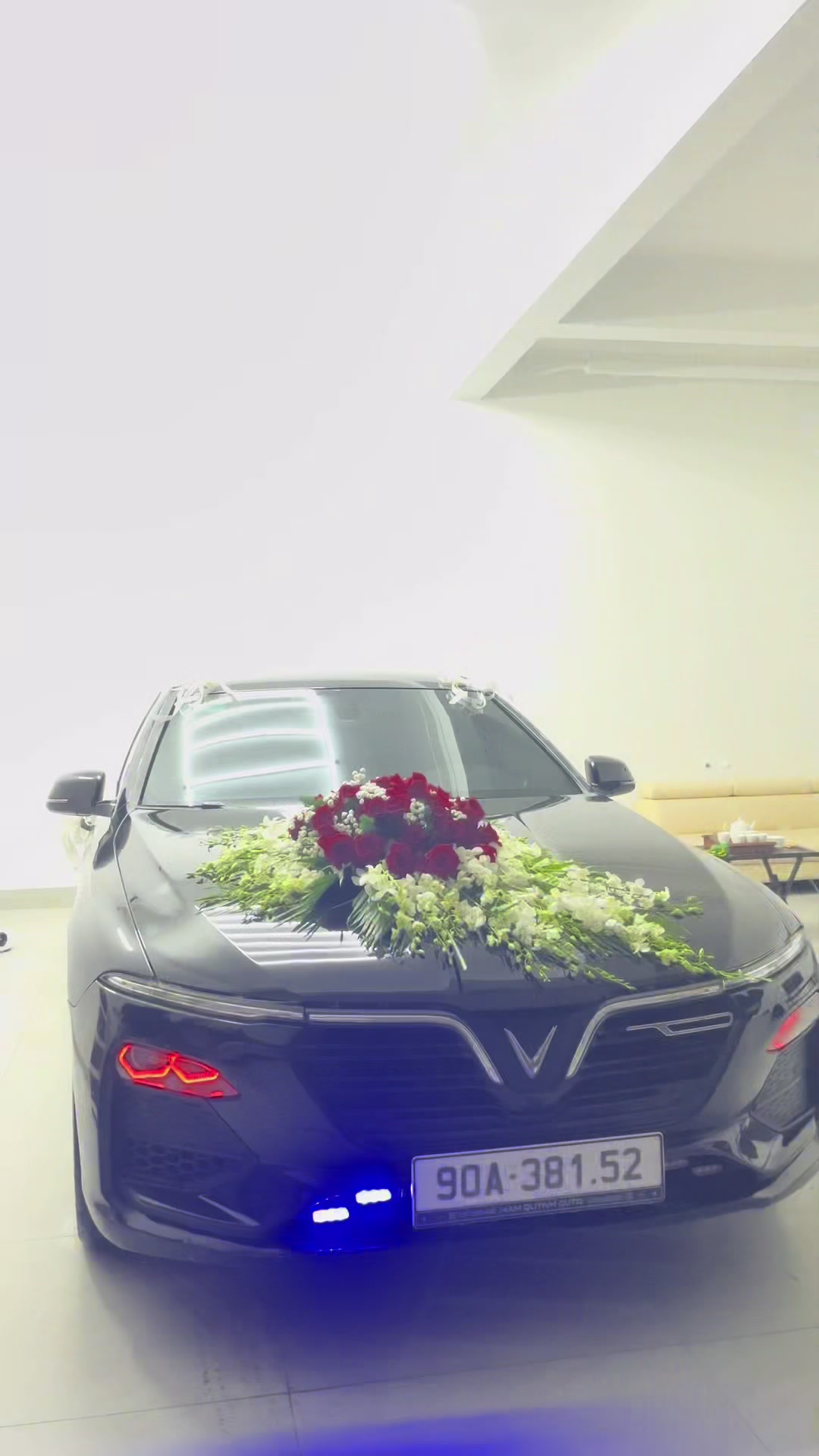 @NamQuynh Luxury