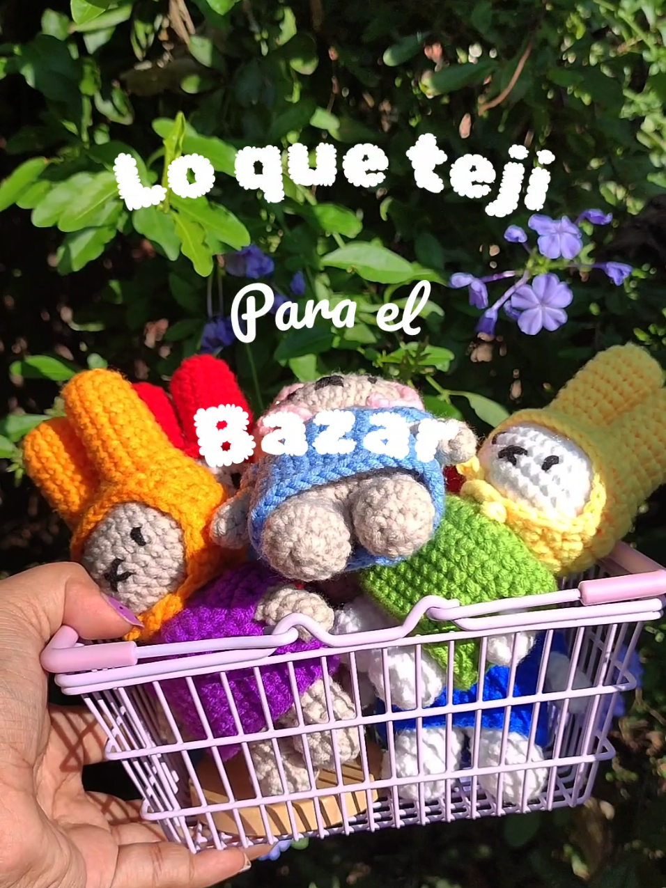@Algo Cute