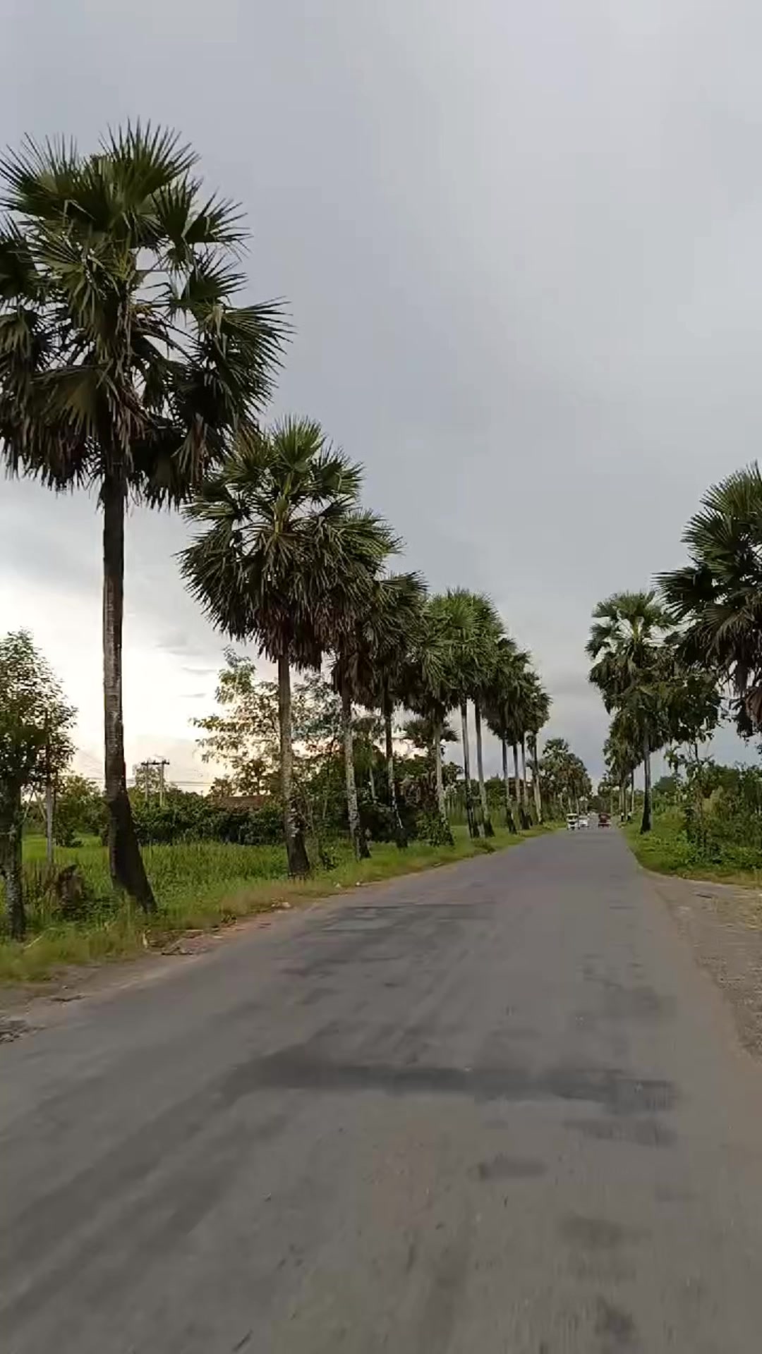 @Ye Htet Aung