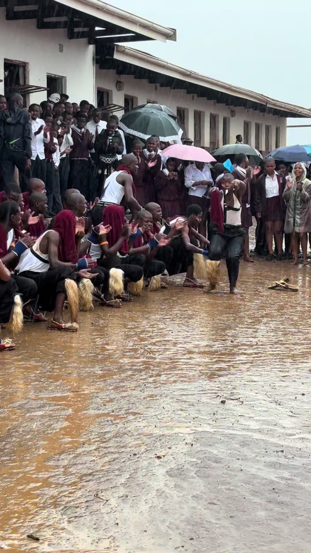 @Mbali Zamakhuba Mpungose